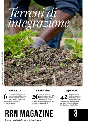 immagine articolo